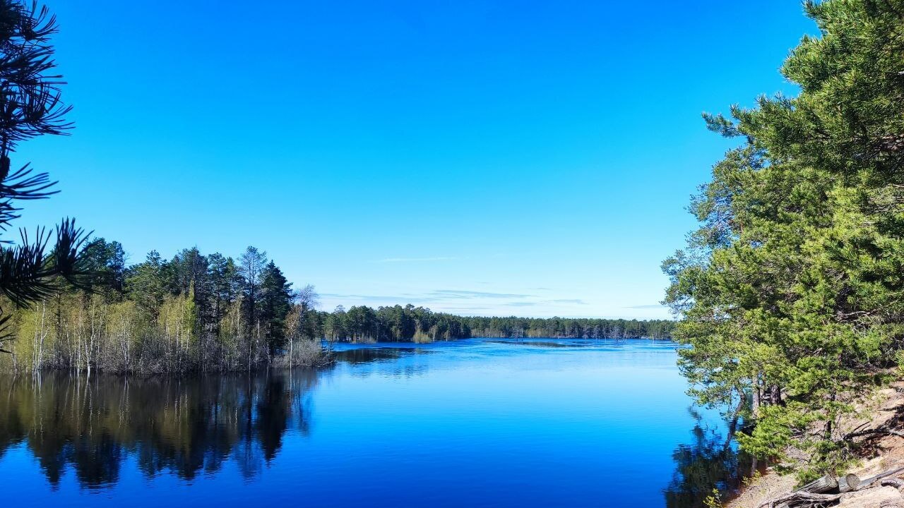 Здесь мы живём, учимся, взрослеем