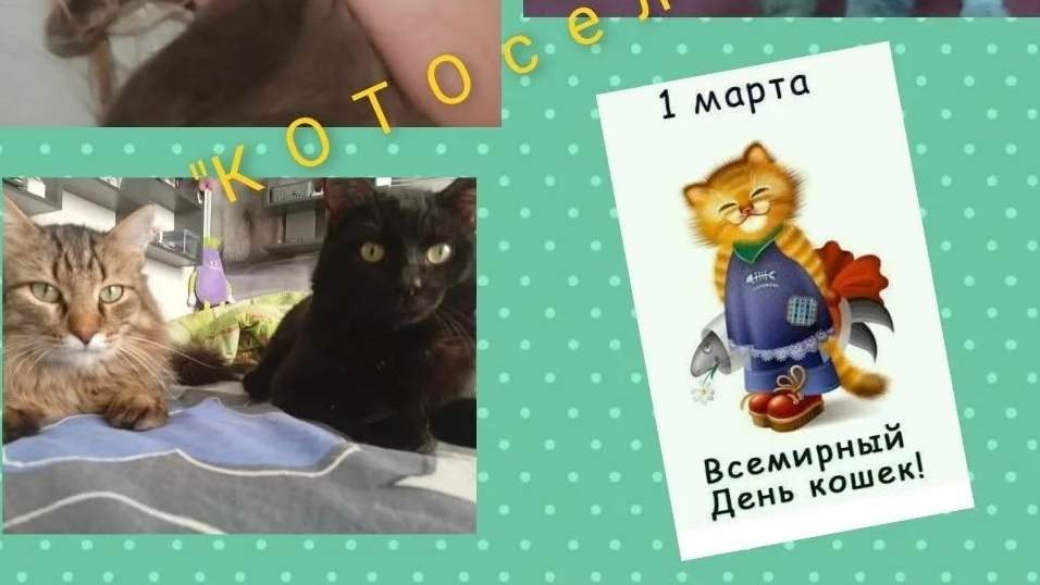 Фоточеллендж 