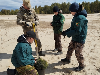 Место для саженца