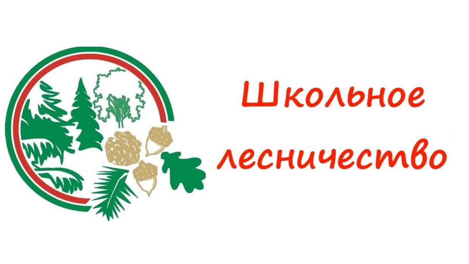 Кондинский Лесхоз Карымского отдела