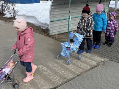 зебра
