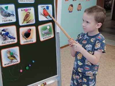 Покажи птицу