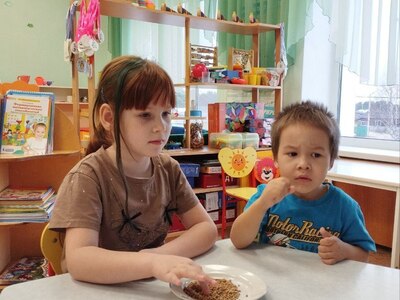 Зёрнышки пшеницы