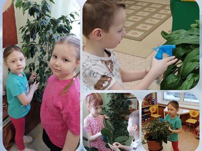 Уход за растениями